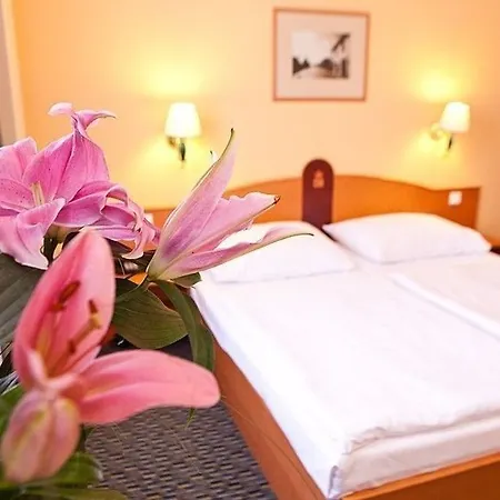 Central Hotel Prague 3* Prága