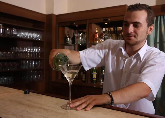 Central Hotel Prague Hotell 3*